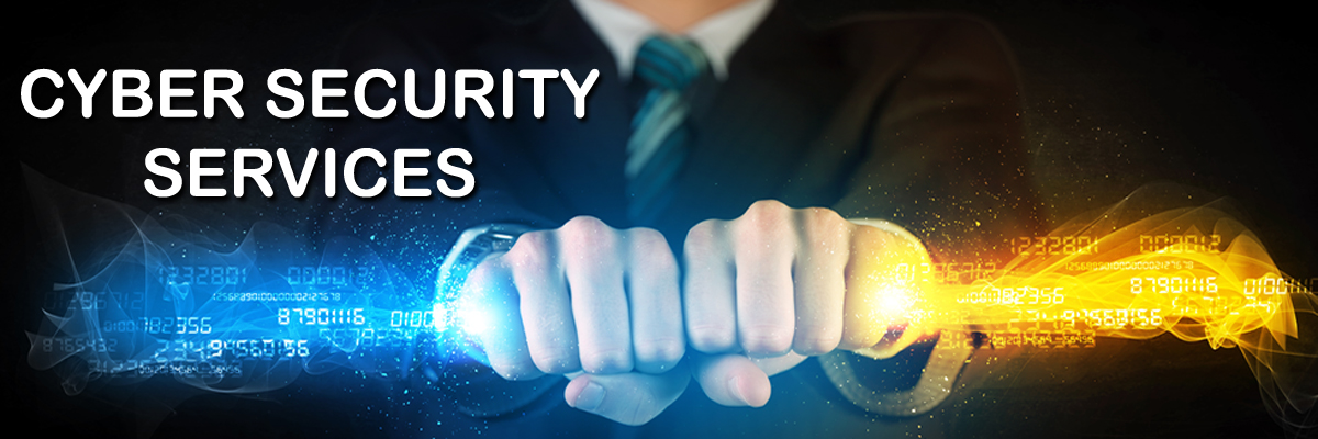 Cyber Security Services in India